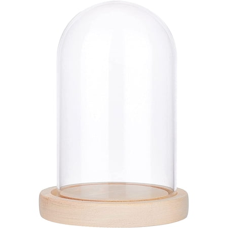 Eternal Flower Glass Display Dome Cloche Glass Display with Black Wood Pedestal Bell Jar Cloche for Valentine's Day Mother's Day Flower Decorations Crafts Black Base Wheat Base Wheat