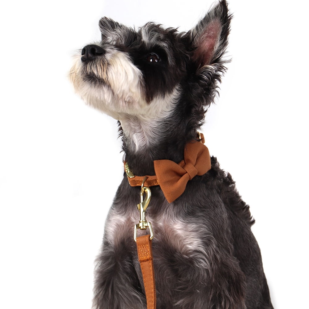 Pet Artist 4pcs Cute Bowtie Dog Harness and Collar and Leash and Poo Bag Holder Adjustable Pet Puppy Cat Vest