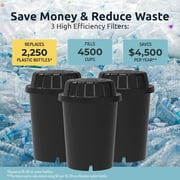 Invigorated Water PH001 Alkaline Water Filter, 96 Gallons Capacity/Filter (3-Pack, Black)