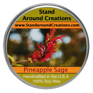 Pineapple Sake - PINEAPPLE / SAGE TUREEN 3-OZ. ALL NATURAL SOY CANDLE