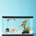 thumbnail image 3 of unbranded Para Peceras Con Plásticas Multicolor Para Oficina Y Acuario, 3 of 5