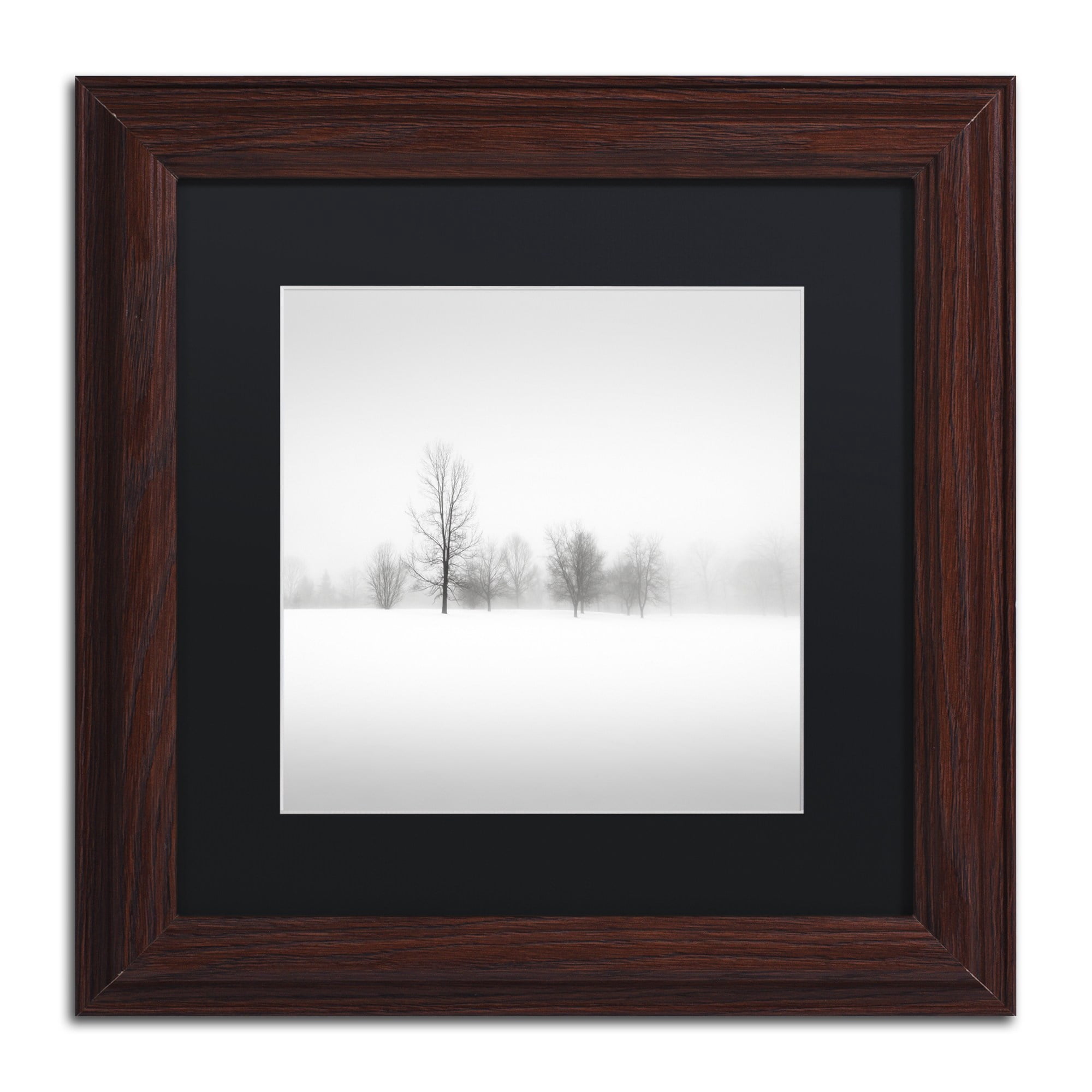 Trademark Fine Art "Winter Fog" Canvas Art by Dave MacVicar, Black Matte, Wood Frame
