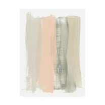 Trademark Fine Art 'Blush Abstract II' Canvas Art by June Erica Vess