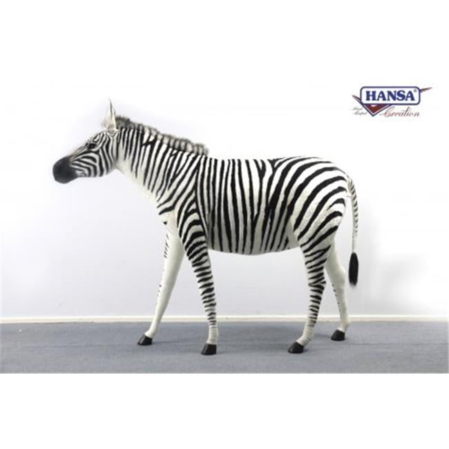 hansa zebra