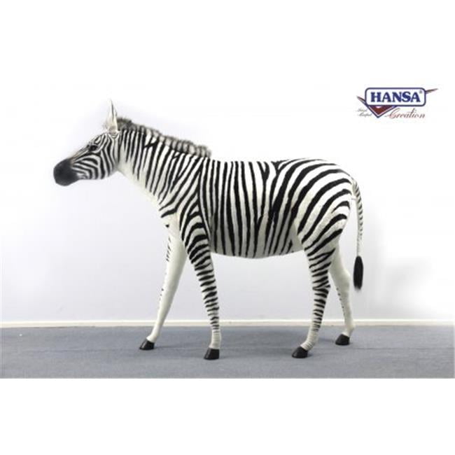 hansa zebra