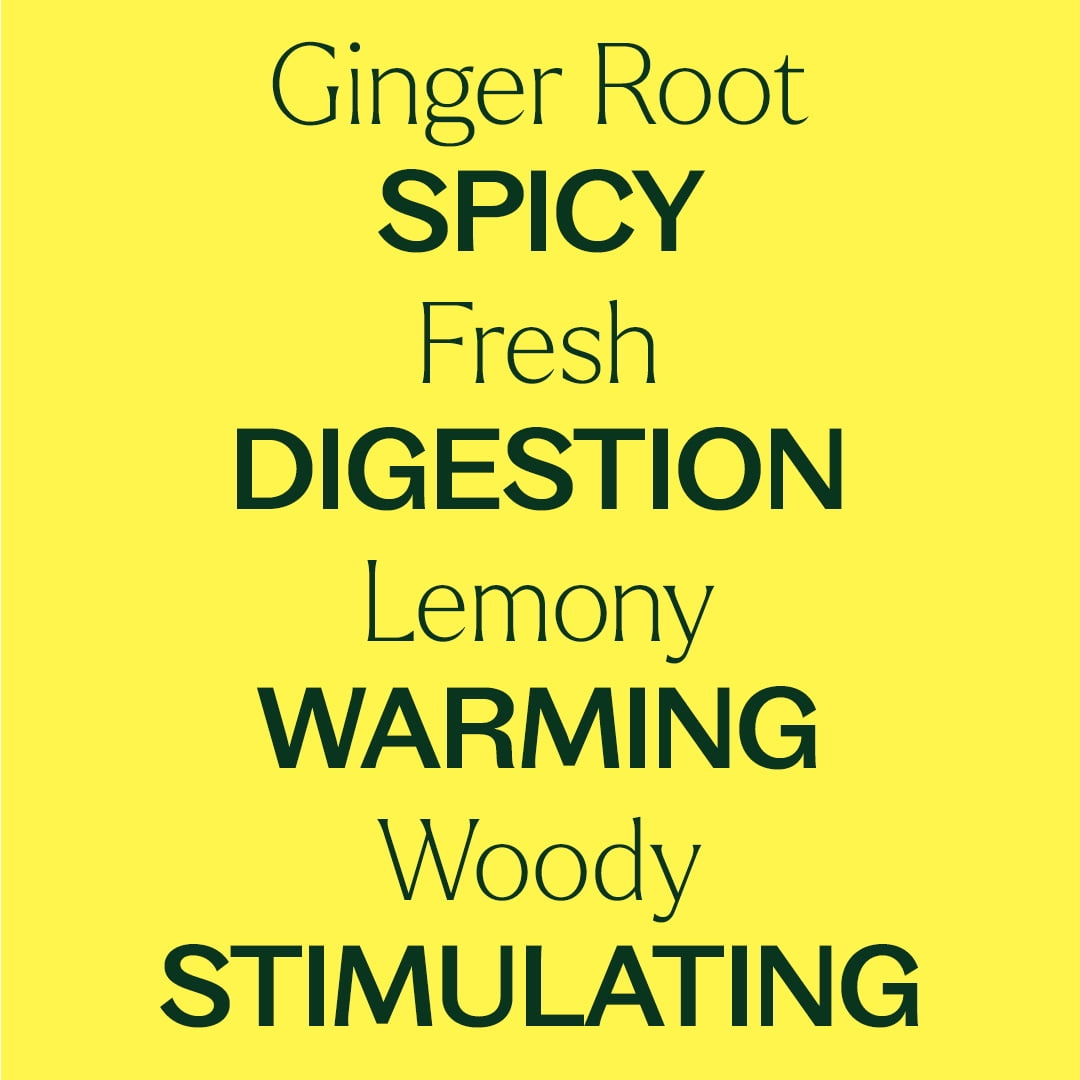 Plant Therapy Ginger Root CO2 Essential Oil 100% Pure, Undiluted, Natural Aromatherapy 30 mL (1 fl oz)