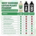 thumbnail image 6 of Lotus Energy Drink Concentrate 64 fl oz (White & Purple) Pack of 2, 6 of 11