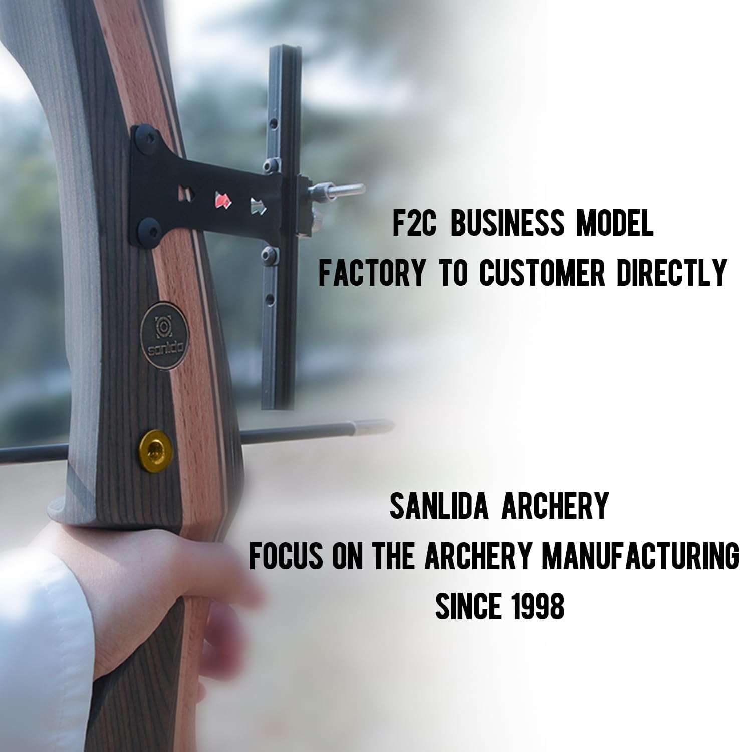 Sanlida Noble Standard Beginner & Intermediate Recurve Bow and Arrows Kit for Adult and Youth, Wooden Takedown Recurve Bow Package for Training, Practice & Competition RH Only (66", 30lbs)