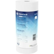 Pentair OMNIFilter RS18 10" Heavy Duty Whole House Spun Polypropylene Sediment Water Filter