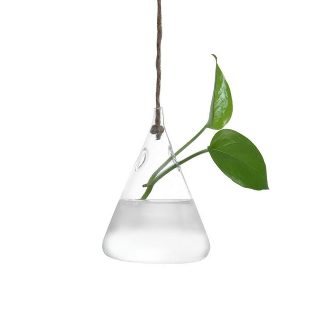 Hanging Glass Ball Vase Flower Plant Pot Terrarium Container Party Wedding Decor Halloween Decorations