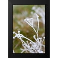 thumbnail image 2 of Berzel, Erin 11x14 Black Modern Framed Museum Art Print Titled - Winter Frost II, 2 of 5