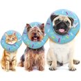 thumbnail image 1 of Blue Cat Recovery Donut Collar, 1 of 1