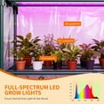 thumbnail image 6 of Mophoto Indoor Greenhouse with Grow Light,5-Tier Mini Greenhouse 35.4"x19"x74.8" PVC Cover with Timer Dimmable Plant Light for Indoor Plants Seed Starting Trays, 6 of 9