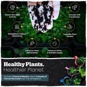 Biochar Premium Soil Conditioner - Wakefield BioChar - 4 qt