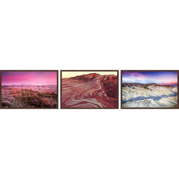 Colors in View Triptych