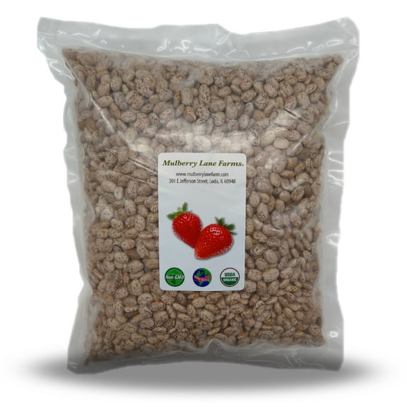 Pinto Beans 10 lbs (ten pounds) USDA Certified Organic, Non-GMO, Bulk,  by Mulberry Lane Farms