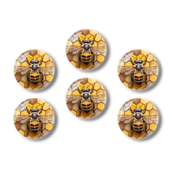 Glass Refrigerator Magnet 6Pcs Magnetic Fridge Sticker,Decor for Kitchen,Whiteboard,Cabinet,Bee On Honeycomb