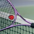thumbnail image 4 of VERDANVERSE 2PCS Silicone Shocking Absorbers Tennis Rackets Dampens Vibration for Training, 4 of 8