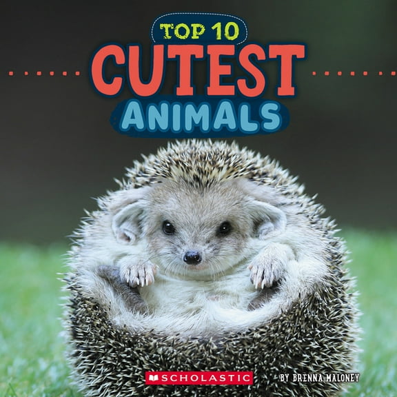 Wild World Cutest Animals (Wild World: Top 10), (Hardcover)