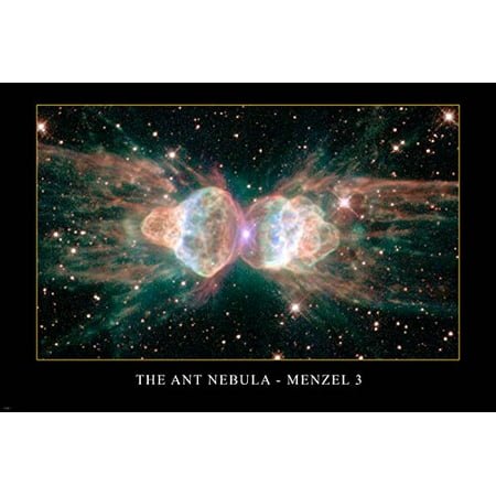 The Ant Nebula - Menzel 3 Hubble Space Telescope Image Poster 24X36