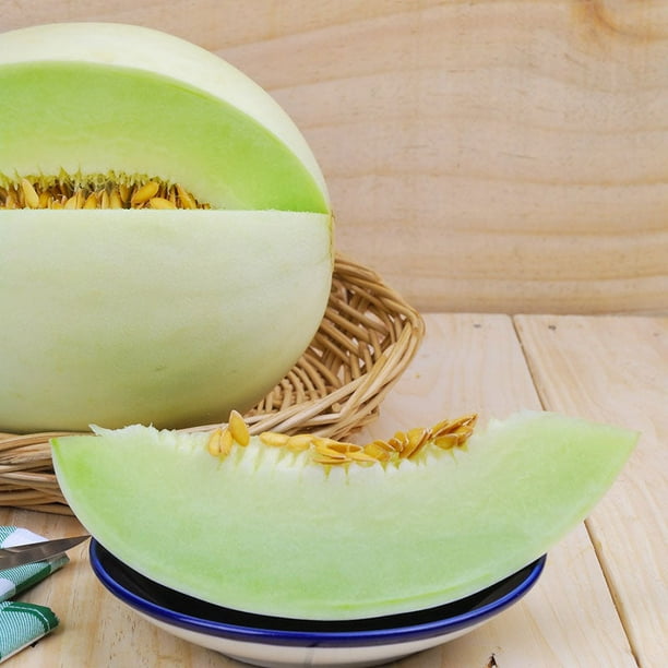 Melon Seeds Honeydew Green Packet Vegetable Seeds