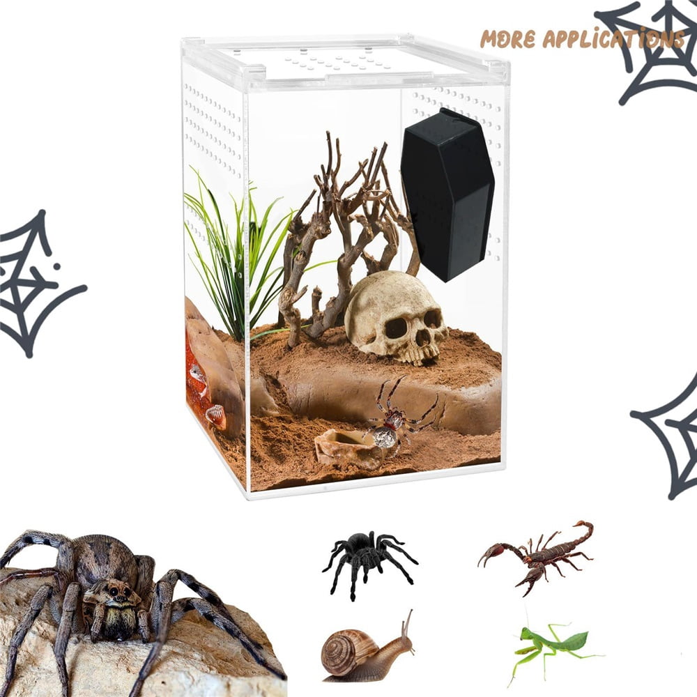 3 Pack Jumping Spider Hideout - Magnetic Hiding Habitat, Handmade Accessory From Natural Materials, Suitable for Small Insects