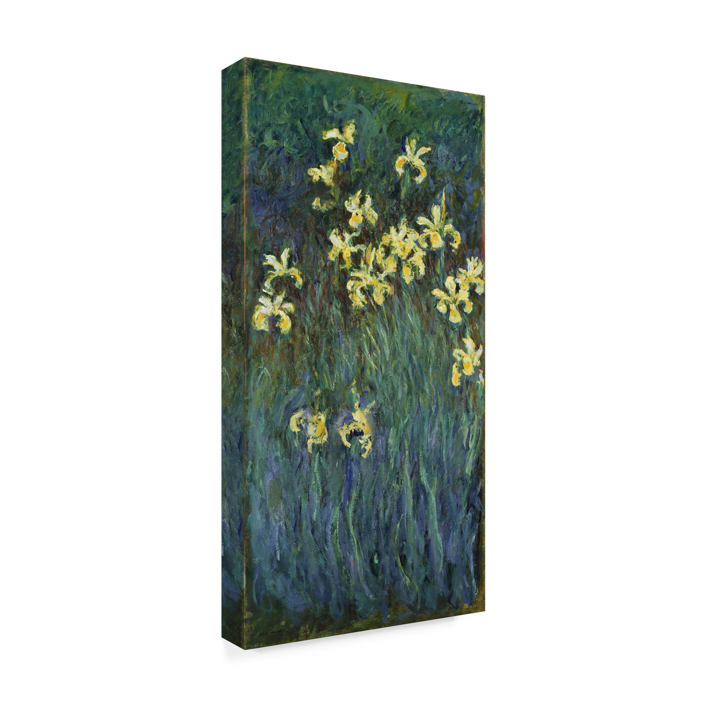 Claude Monet 'The Yellow Irises' Canvas Art