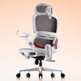 thumbnail image 1 of Silla de oficina ergonómica SIHOO B100 con soporte lumbar de malla, 1 of 9