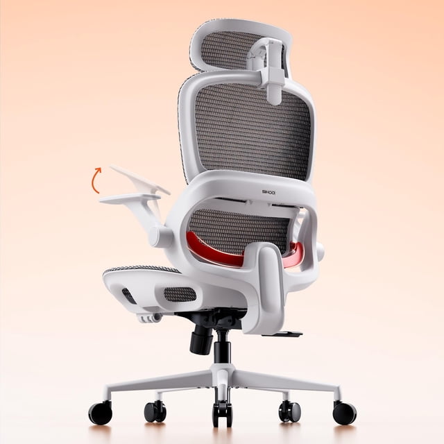 Silla de oficina ergonómica SIHOO B100 con soporte lumbar de malla