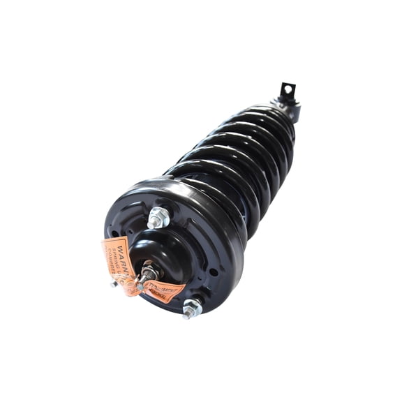 GSP 811377 Front Right Suspension Strut and Coil Spring Assembly Compatible with Ford 15-17 F-150