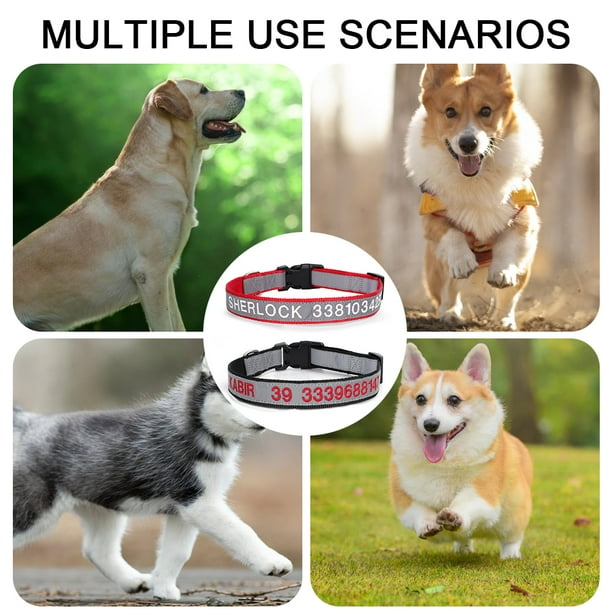 Dog collars with names and phone numbers hot sale