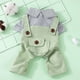 thumbnail image 4 of Ropa de primavera para cachorros, ropa decorativa para gatitos, monos adorables para cachorros., 4 of 6