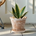 thumbnail image 2 of My Texas House 8" Wave Terracotta Ceramic Planter Pot, Indoor & Outdoor Use, 2 of 8