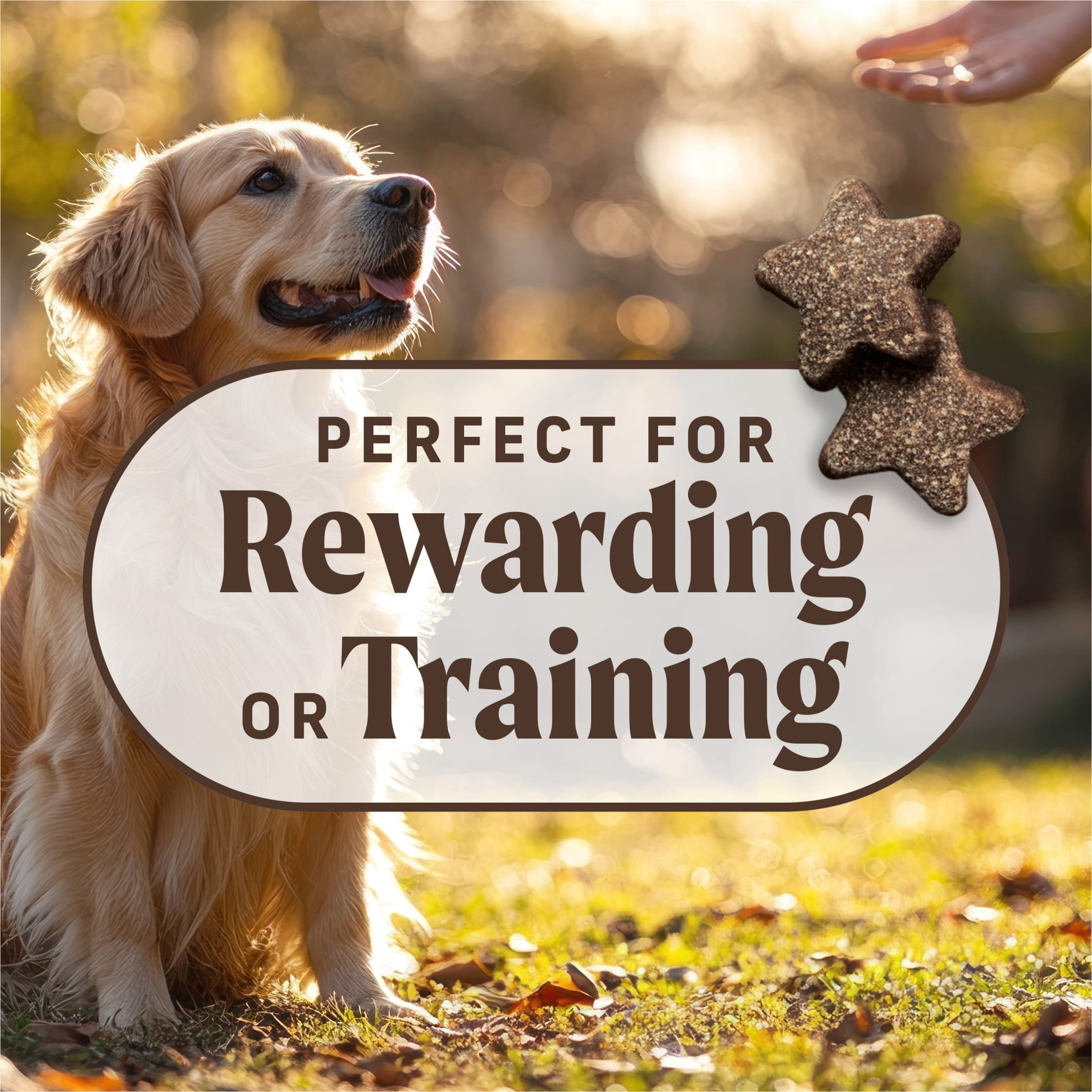 Merrick Power Bites Natural Soft And Chewy Real Meat Dog Treats, Grain Free Snack With Real Salmon Recipe, 6 oz. Bag