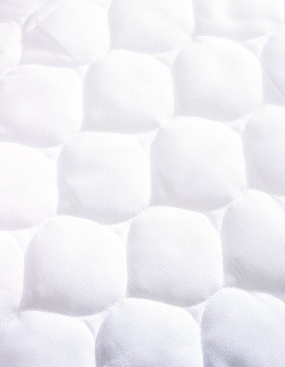 TL Care Waterproof Fitted Mini Crib Mattress Protector 38" x 24" - 100% Cotton Quilted Top, Noiseless, Ultra-Soft & Breathable Pack n Play and Mini Crib Mattress Cover