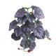 thumbnail image 1 of Plantas Verdes Artificiales Planta artificial de alumbre con 23 hojas y textura adhesiva para decoración de interiores y accesorios de pared (morado,1 pieza) Rkxzt, 1 of 5