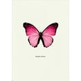 thumbnail image 2 of GraphINC 11x14 White Modern Wood Framed Museum Art Print Titled - Pink Butterfly, 2 of 4