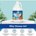 thumbnail image 2 of STEAM AND GO Multi-Purpose Cleaner and Stain Remover, All Purpose Cleaner, Orange Scent, 1 gal, 2 of 7