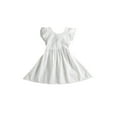 thumbnail image 3 of Bagilaanoe Toddler Baby Girl Summer Dress Fly Sleeve A-line Dresses 2T 3T 4T 5T 6T 7T Kids Casual Backless Swing Sundress, 3 of 6