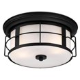 thumbnail image 1 of WestinghouseLighting 6339200 2 Light Orwell Outdoor Flush Fixture, 1 of 1