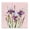 Purple Irises on Pink, variant on Stupell Industries Cottage Sunflowers & Bee on Blue Black Framed Giclee Art, 12 x 12, by Susan Winget
