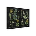 thumbnail image 2 of Wild Apple Portfolio 'Botanical Floral Chart I Black and White' Canvas Art, 2 of 3