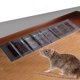 thumbnail image 3 of Mouse Glue Traps Sticky Sticky Mouse Board para Exteriores (1 2 M), 3 of 5