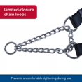 thumbnail image 4 of Collar de adiestramiento para perros Coastal ajustable 2-3 m negro, 4 of 7