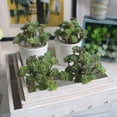 thumbnail image 4 of Useful Artificial plants PVC Simulation 24 Heads Simulation Succulents Wedding Decoration Display Garden Indoor, 4 of 9