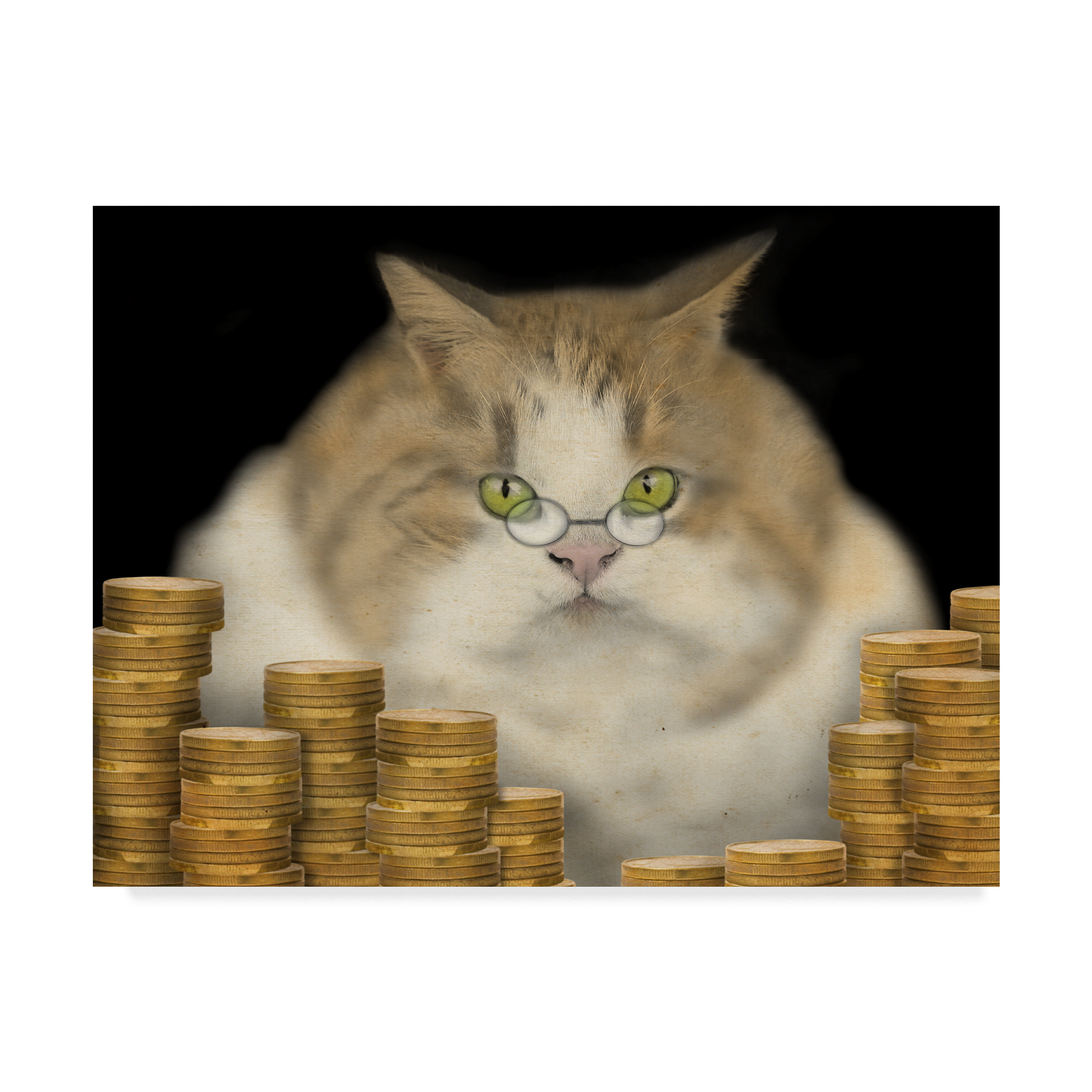 Trademark Fine Art 'Fat Cat' Canvas Art by J Hovenstine Studios