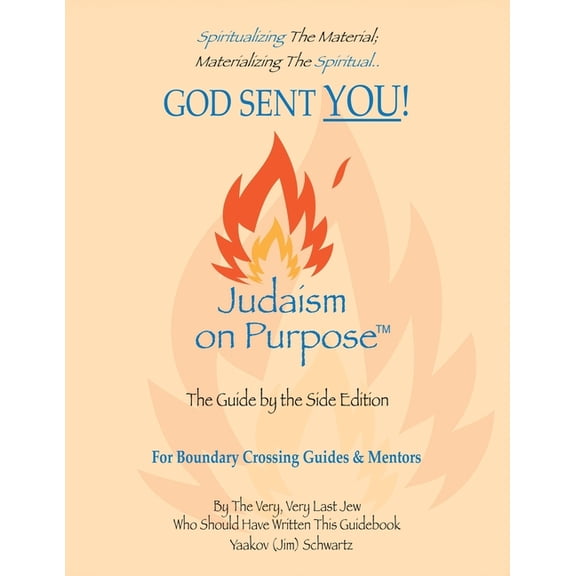 God Sent You!, (Paperback)
