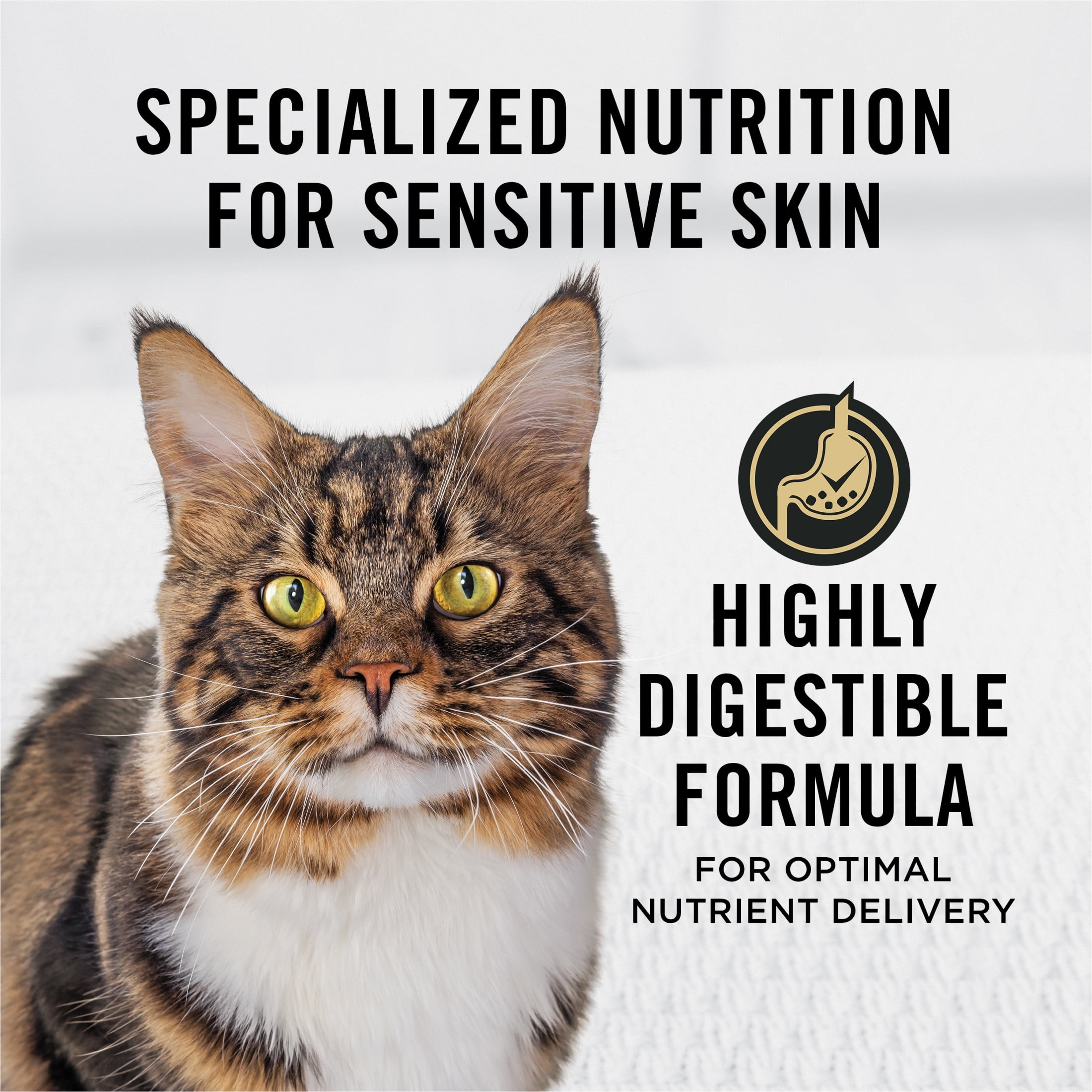 Purina Pro Plan Specialized Sensitive Skin & Stomach Turkey, Dry Cat Food, 1.45 kg
