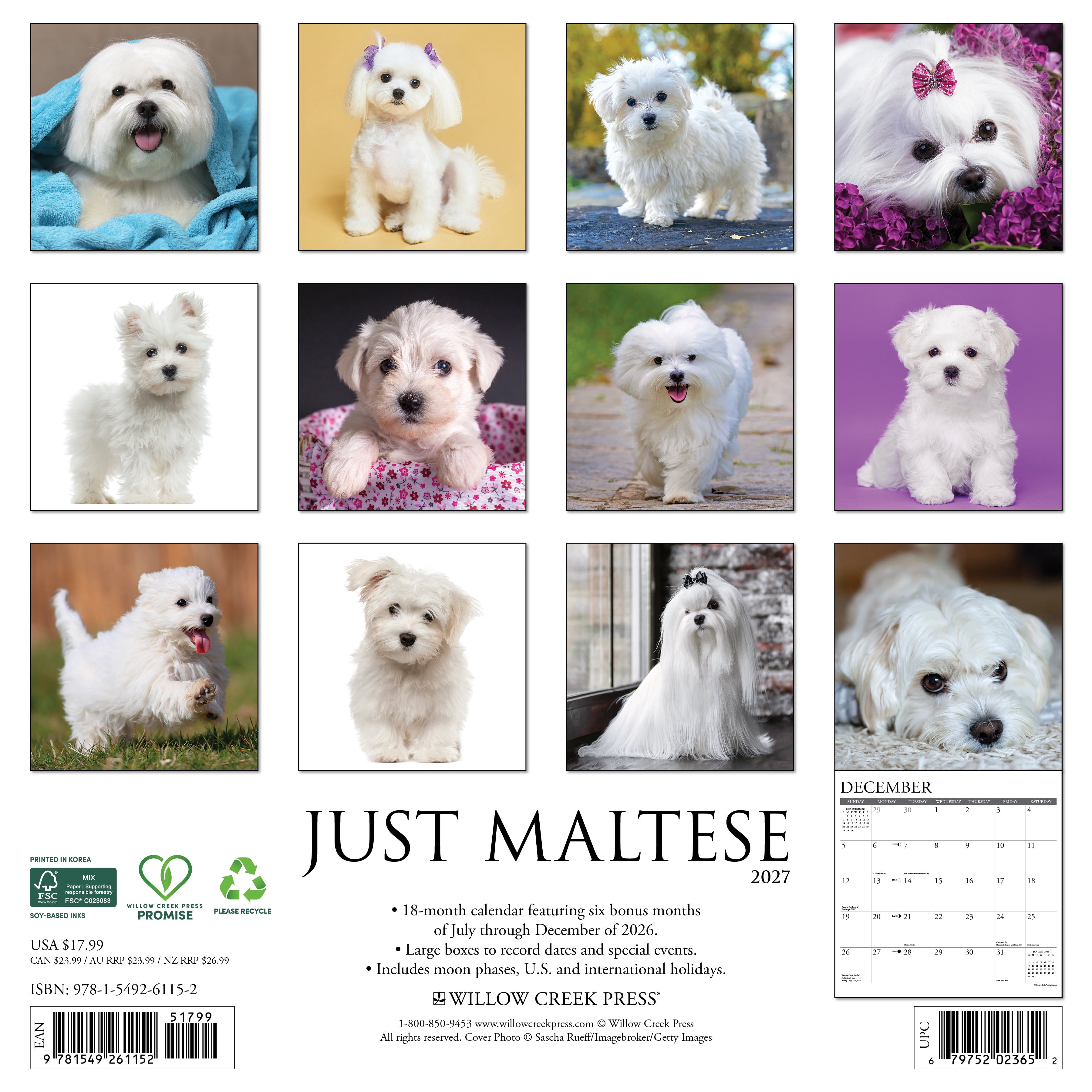 Willow Creek Press, Maltese 2027 Wall Calendar