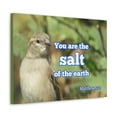 thumbnail image 2 of Scripture Walls  Salt Of The Earth Matthew 5:13 Bible Verse Canvas Christian Wall Art Ready to Hang Unframed, 2 of 17